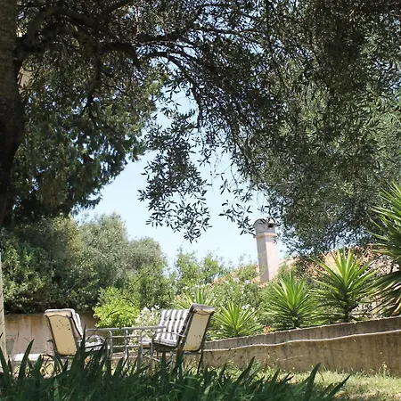 Olive House